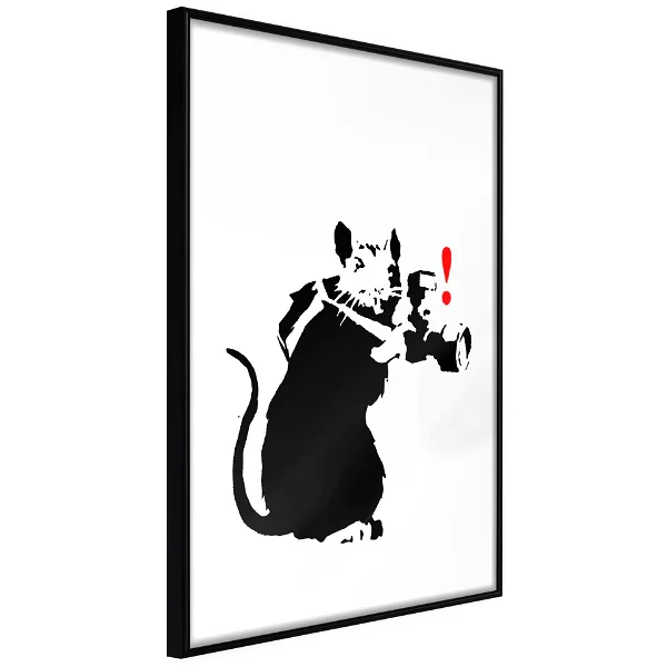 Poster Rat Photographe