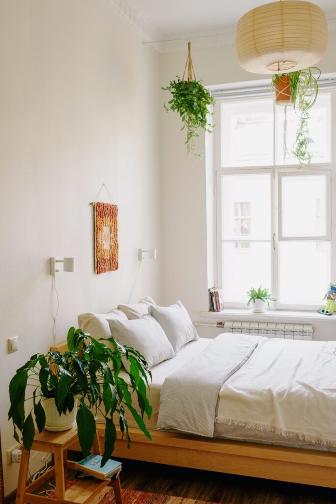 Une chambre avec des plantes d'intérieur et un ensoleillement direct