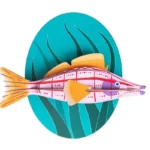 Papier de décoration murale Poisson épervier à long bec photo