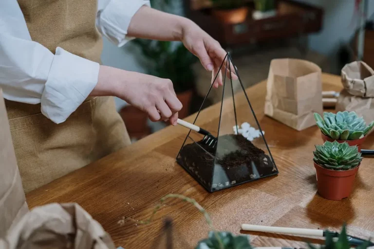plantes d'intérieur décoratives diy pour votre partenaire qui aime les plantes