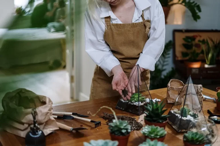 plantes d'intérieur décoratives diy pour votre partenaire qui aime les plantes