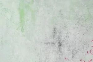 peinture à l'huile changement d'époque