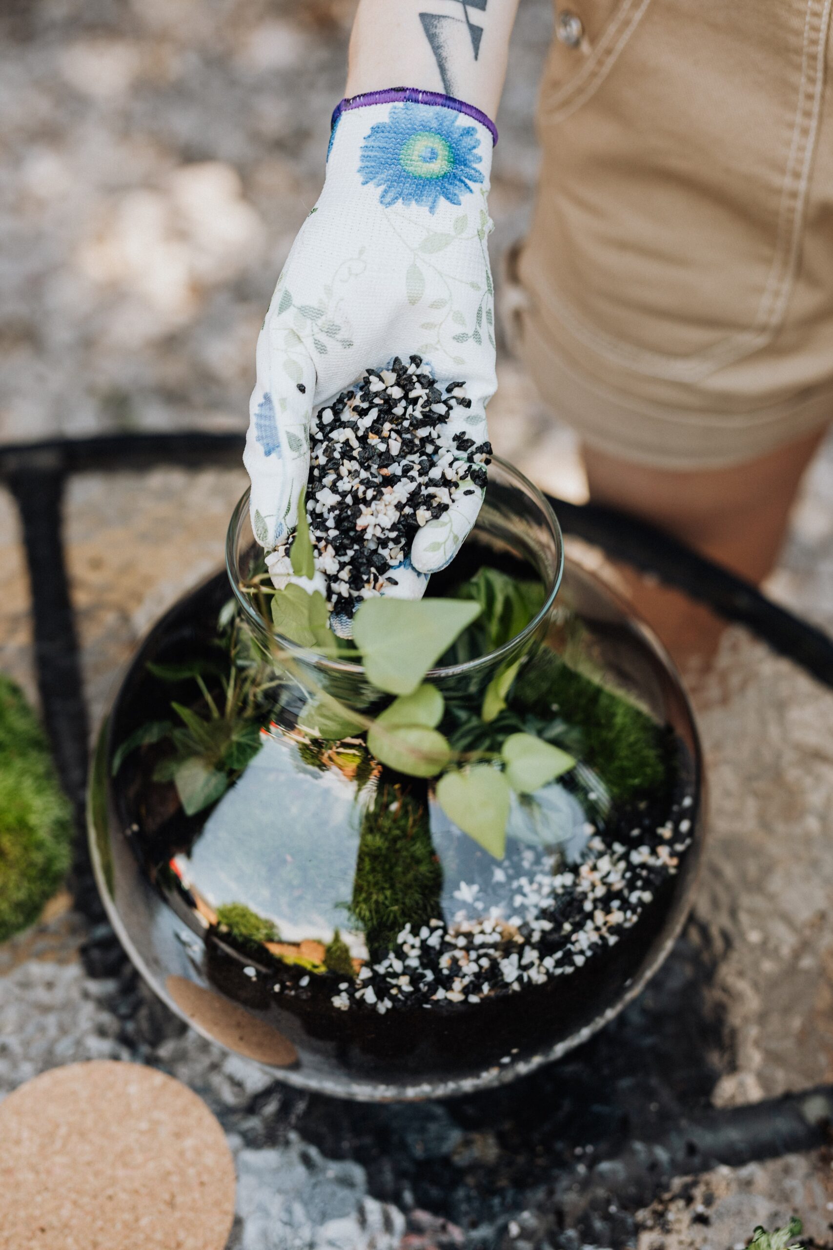 Plante miniature DIY