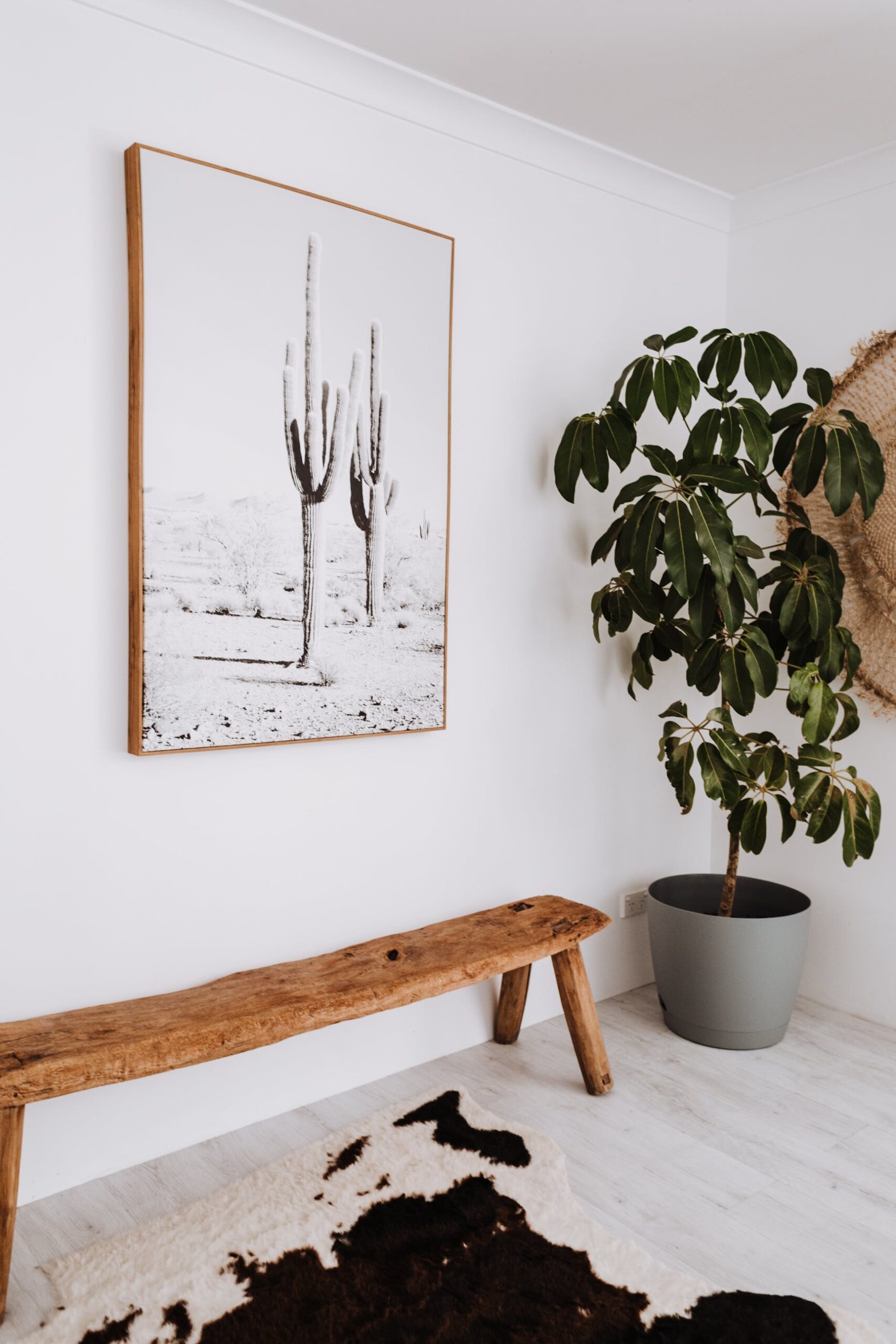 Plante d'intérieur