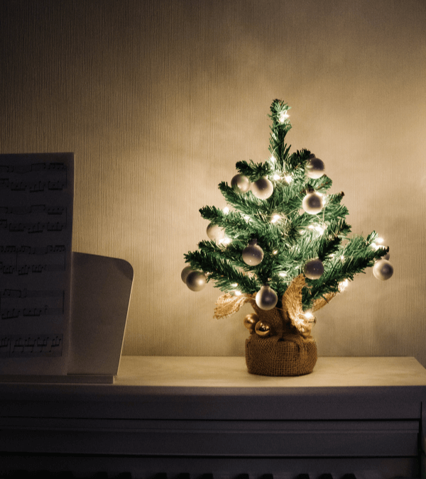 A small Christmas tree wrapped with Christmas lights